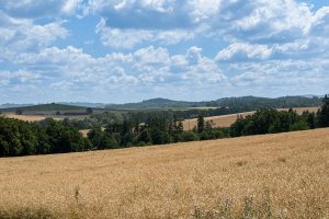 IMG_1290