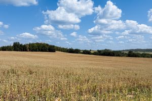 IMG_1291