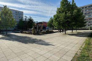 IMG_3480