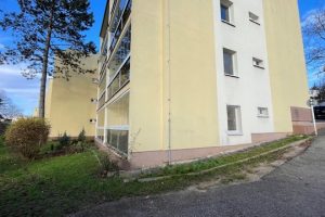 IMG_8251