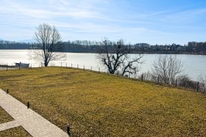 IMG_8510