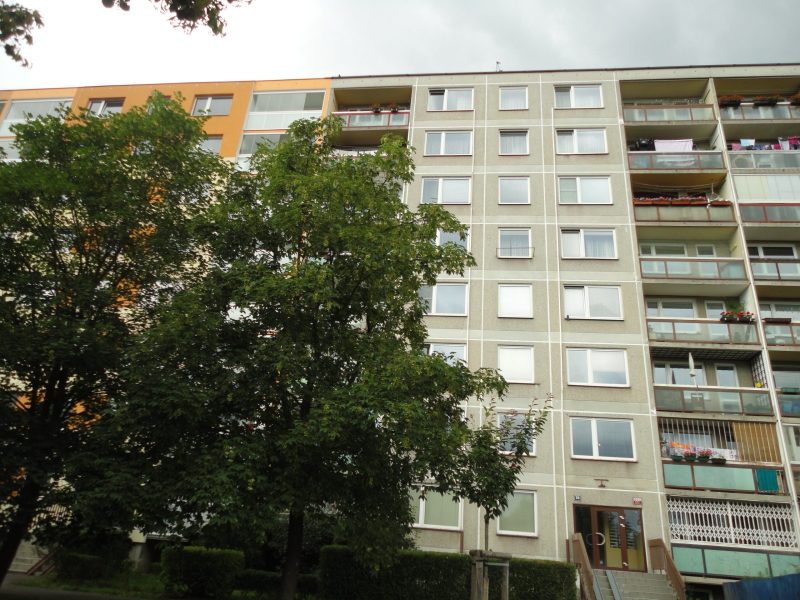 daskova-01