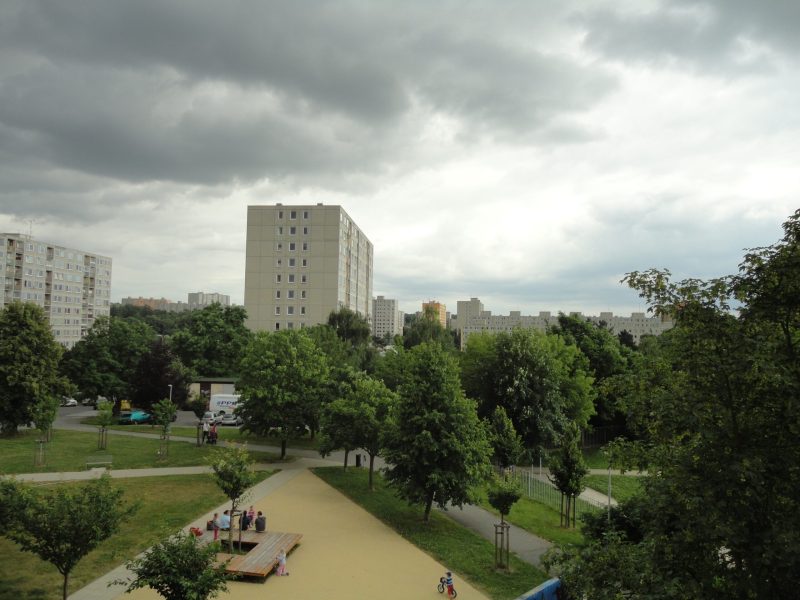 daskova-02