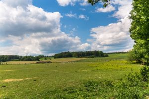 mirovice-pliskovice-04