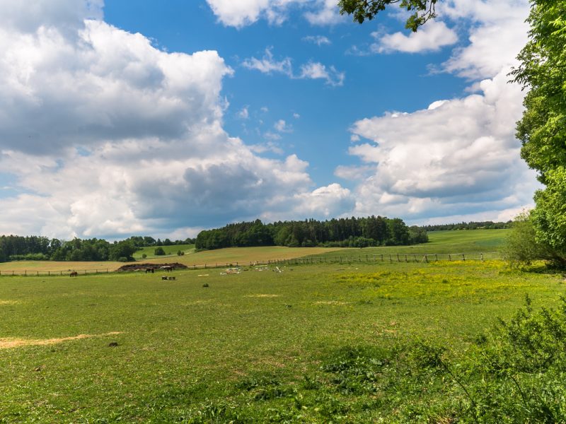 mirovice-pliskovice-04