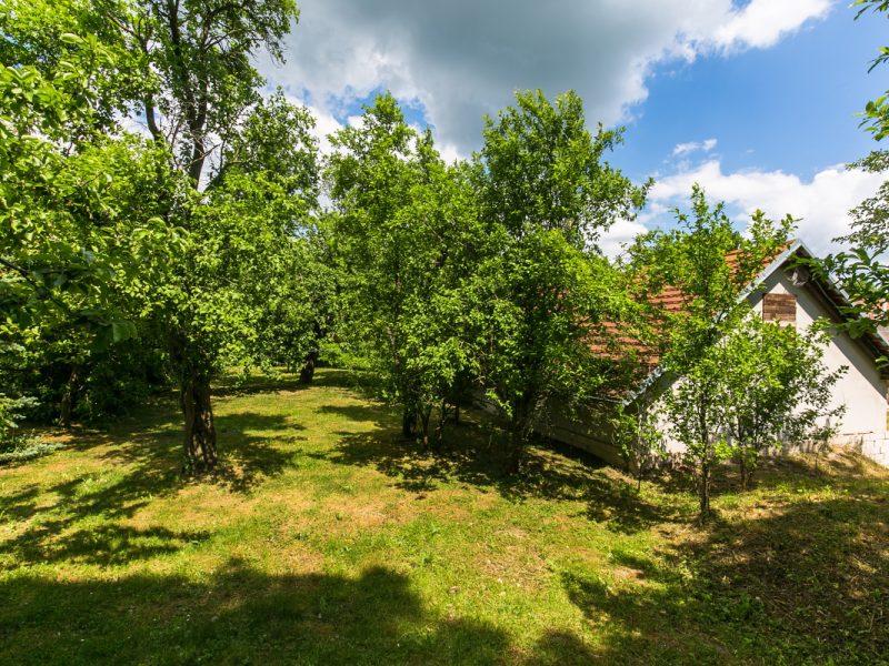 mirovice-pliskovice-05