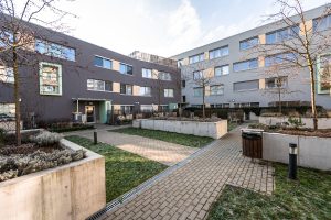 olgy-havlove-23