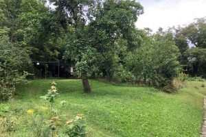premyslovice-04