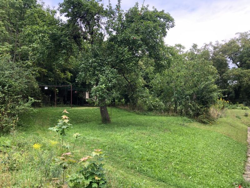 premyslovice-04