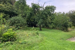 premyslovice-09
